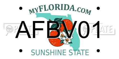 AFBV01 Florida License Plate