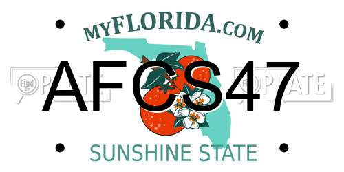 AFCS47 Florida License Plate