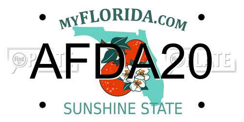 AFDA20 Florida License Plate