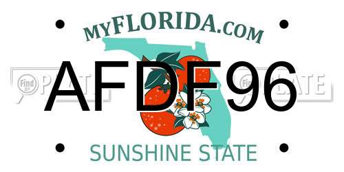 AFDF96 Florida License Plate