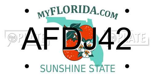 AFDJ42 Florida License Plate