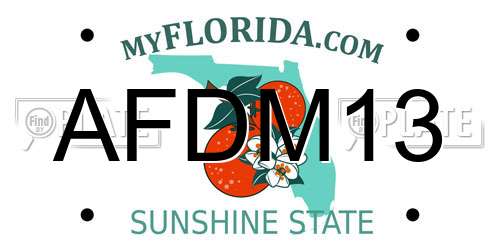 AFDM13 Florida License Plate