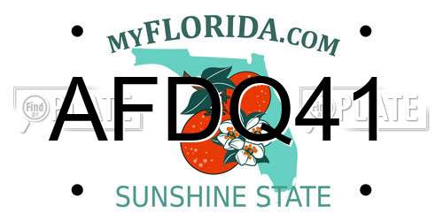 AFDQ41 Florida License Plate