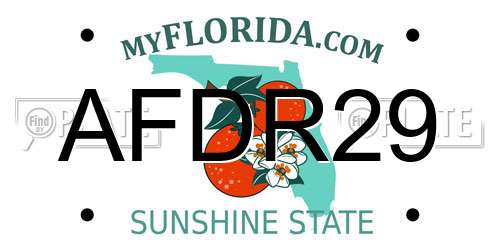 AFDR29 Florida License Plate