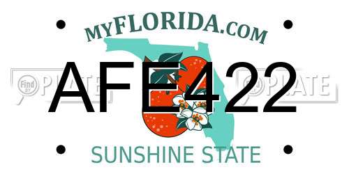 AFE422 Florida License Plate