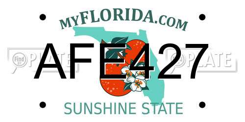 AFE427 Florida License Plate