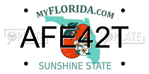 AFE42T Florida License Plate
