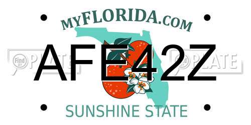 AFE42Z Florida License Plate