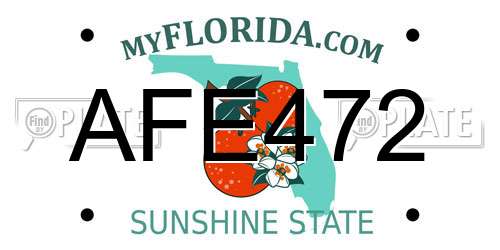 AFE472 Florida License Plate