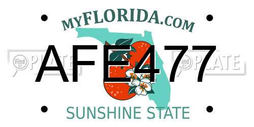 AFE477 Florida License Plate