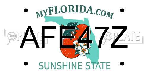 AFE47Z Florida License Plate