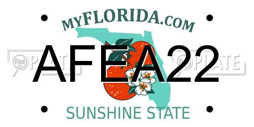 AFEA22 Florida License Plate
