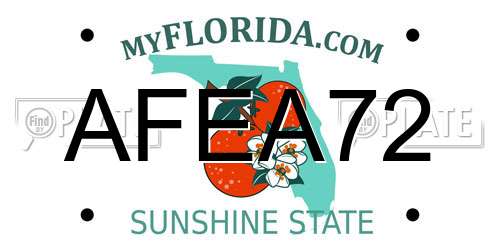 AFEA72 Florida License Plate