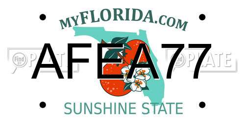 AFEA77 Florida License Plate