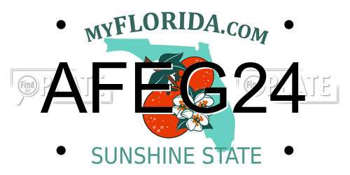 AFEG24 Florida License Plate