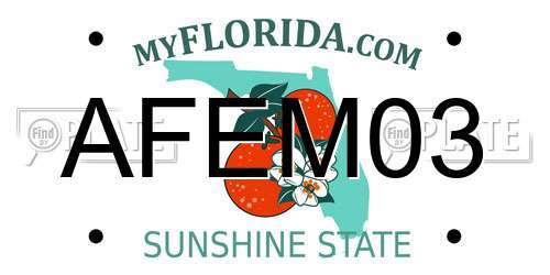 AFEM03 Florida License Plate