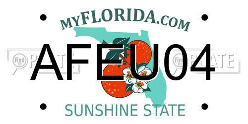 AFEU04 Florida License Plate