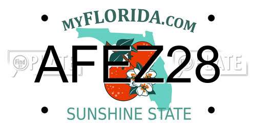 AFEZ28 Florida License Plate