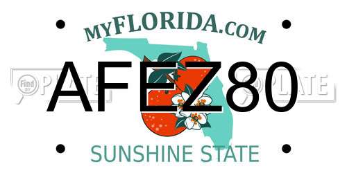 AFEZ80 Florida License Plate
