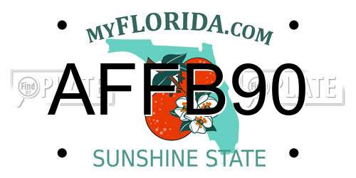 AFFB90 Florida License Plate