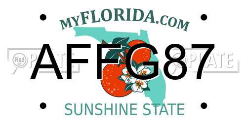 AFFG87 Florida License Plate