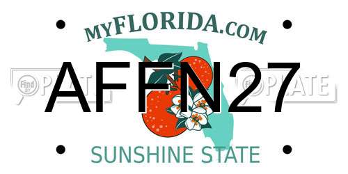 AFFN27 Florida License Plate