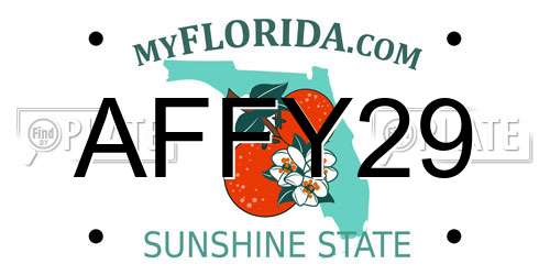 AFFY29 Florida License Plate