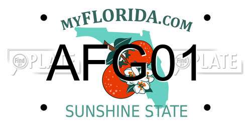 AFG01 Florida License Plate
