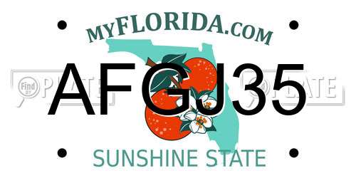 AFGJ35 Florida License Plate