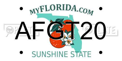 AFGT20 Florida License Plate