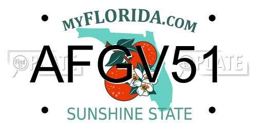 AFGV51 Florida License Plate