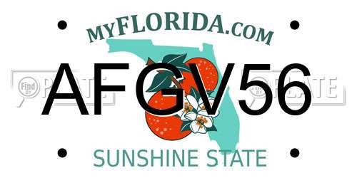 AFGV56 Florida License Plate