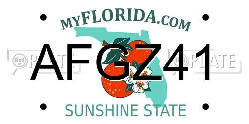 AFGZ41 Florida License Plate