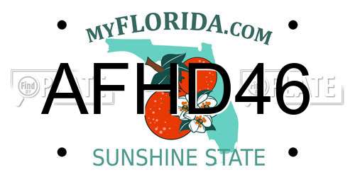 AFHD46 Florida License Plate
