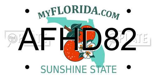 AFHD82 Florida License Plate