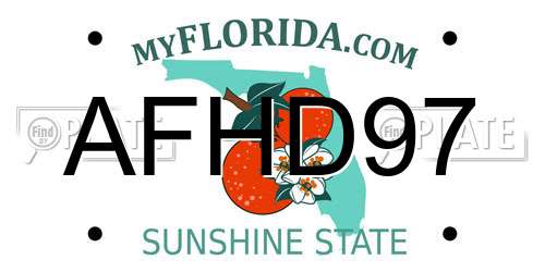 AFHD97 Florida License Plate