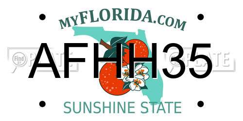 AFHH35 Florida License Plate