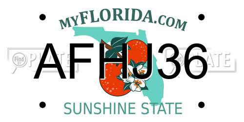 AFHJ36 Florida License Plate