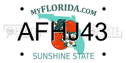 AFHJ43 Florida License Plate