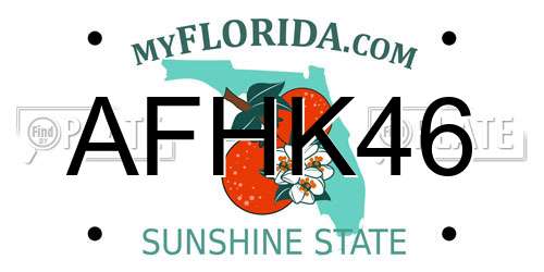 AFHK46 Florida License Plate