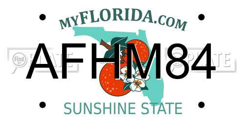 AFHM84 Florida License Plate