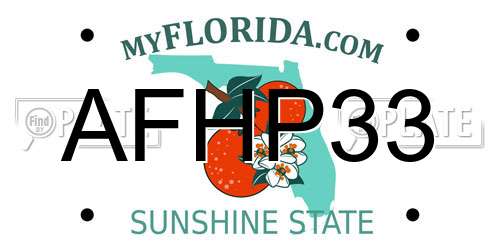 AFHP33 Florida License Plate