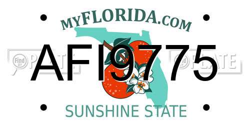AFI9775 Florida License Plate