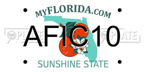 AFIC10 Florida License Plate