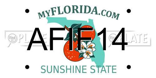 AFIF14 Florida License Plate