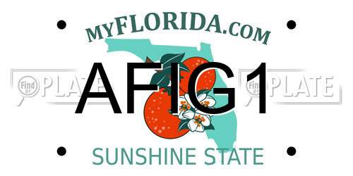 AFIG1 Florida License Plate