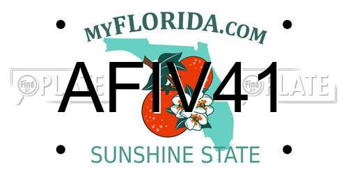 AFIV41 Florida License Plate