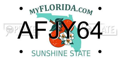 AFJY64 Florida License Plate
