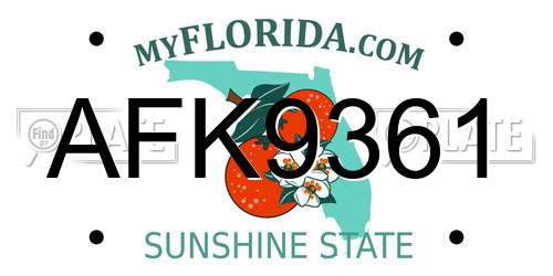 AFK9361 Florida License Plate
