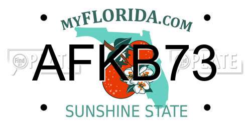 AFKB73 Florida License Plate